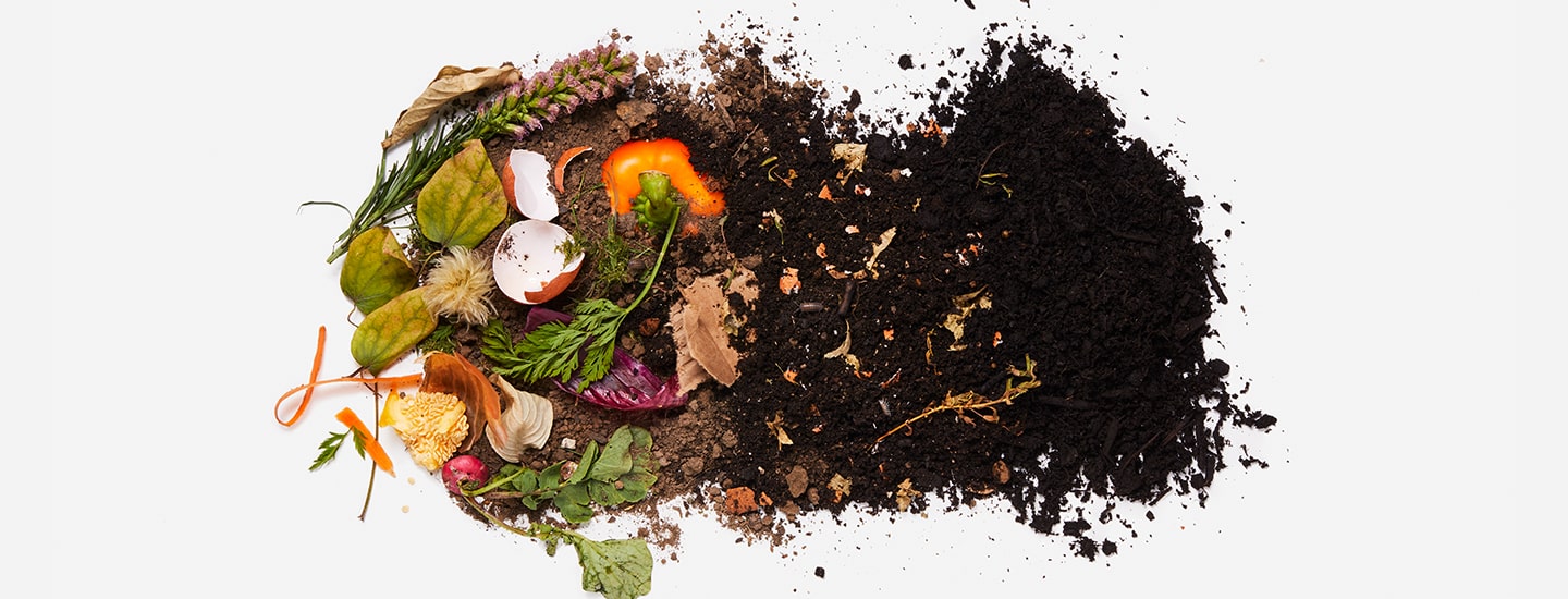 Composting Quick Start Guide Making Gardening Compost