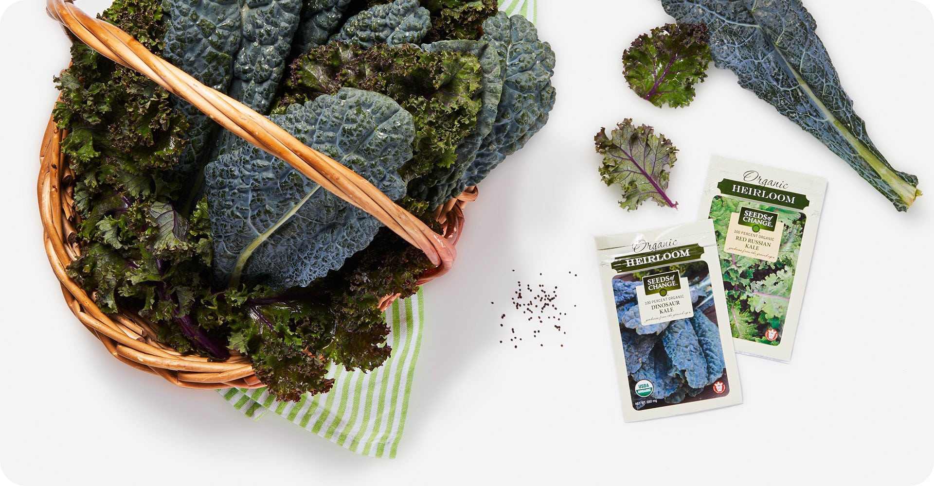 kale in a basket and kale seeds on table