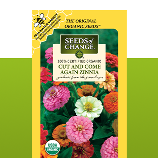 Zinnia flower seeds