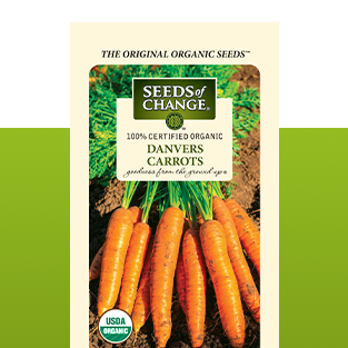 Vegetable seeds
